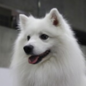 Matheo